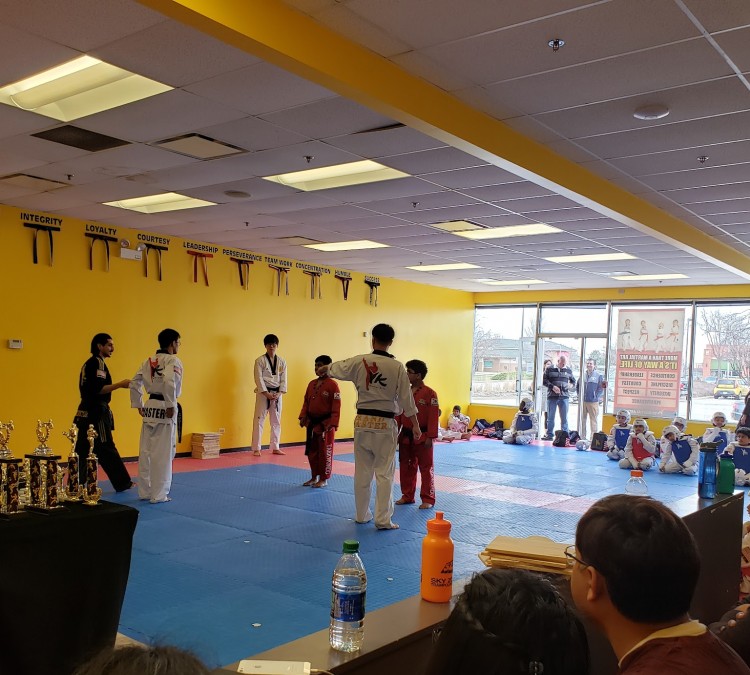Taekwondo (Naperville,&nbspIL)